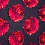 Zwarte viscose met rode distelachtige print