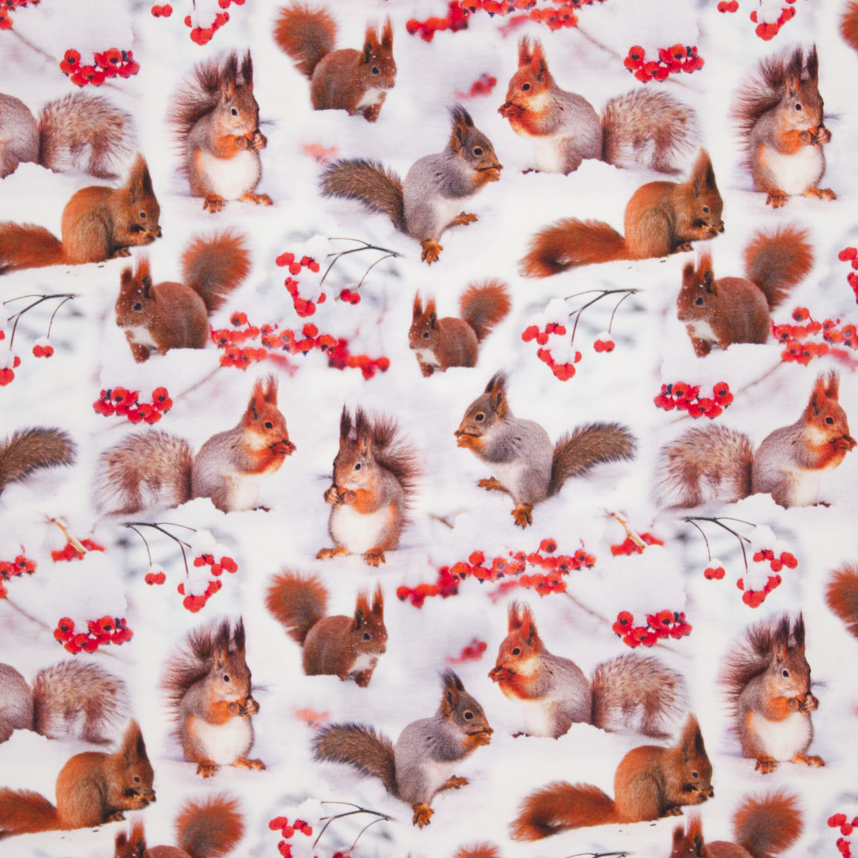 Witte tricot met digitale fotoprint van eekhoorns en bessen