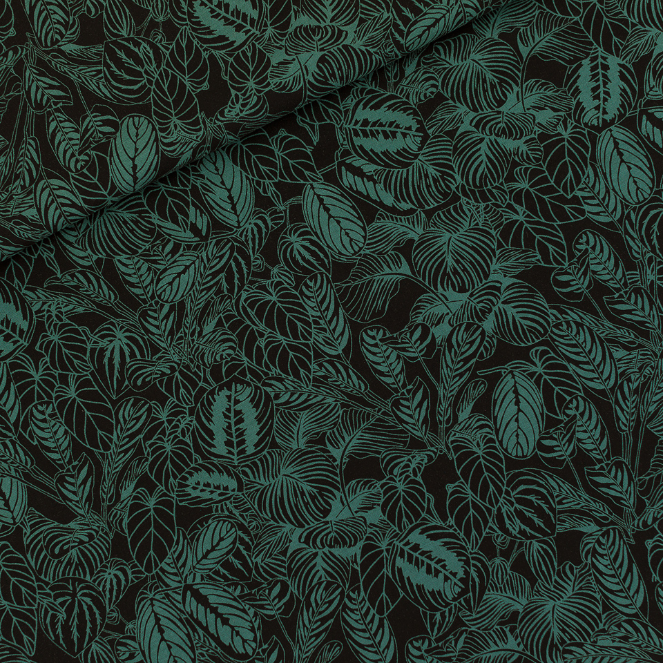See you at Six - Cosy House Plants