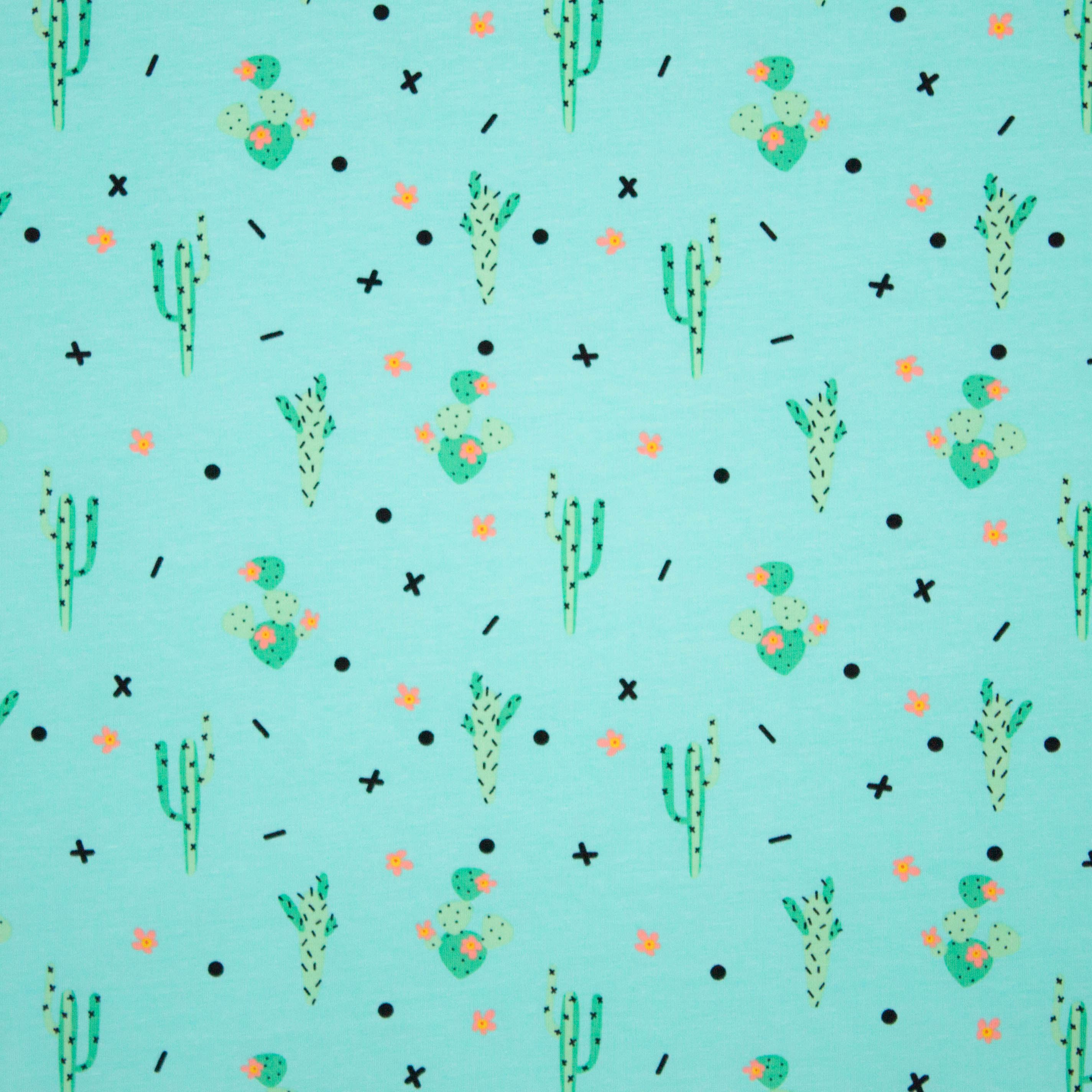 Lichtblauwe katoen tricot met cactusmotief